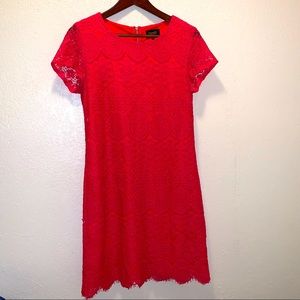 Laundry by Shelli Segal Dress